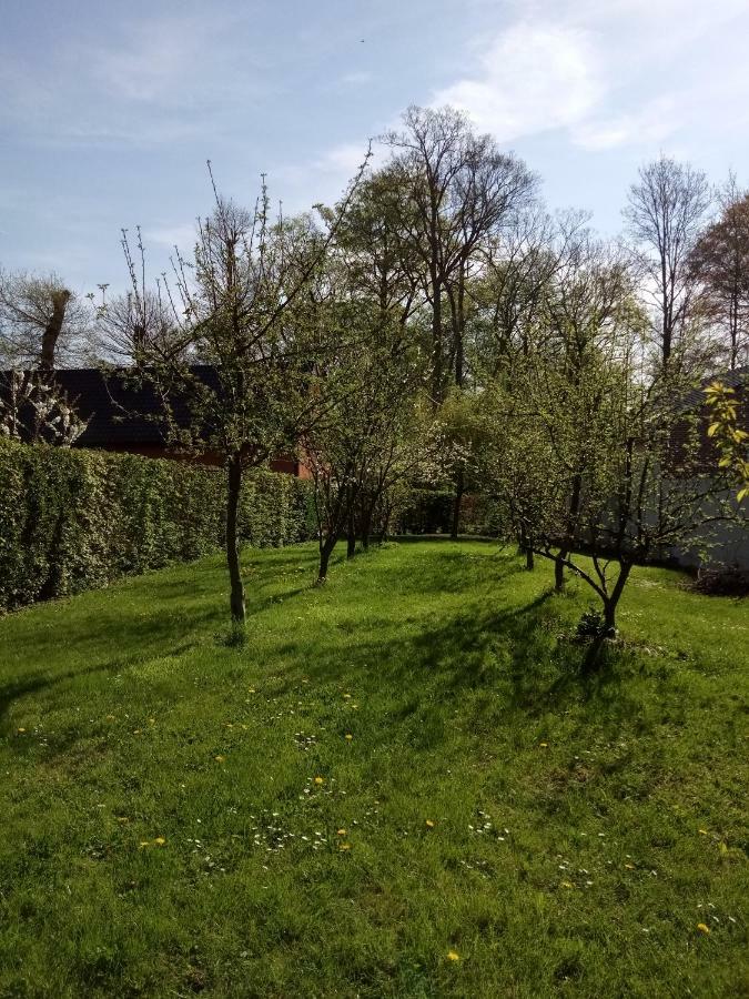 Gite Du Montagnard Oxelaere المظهر الخارجي الصورة