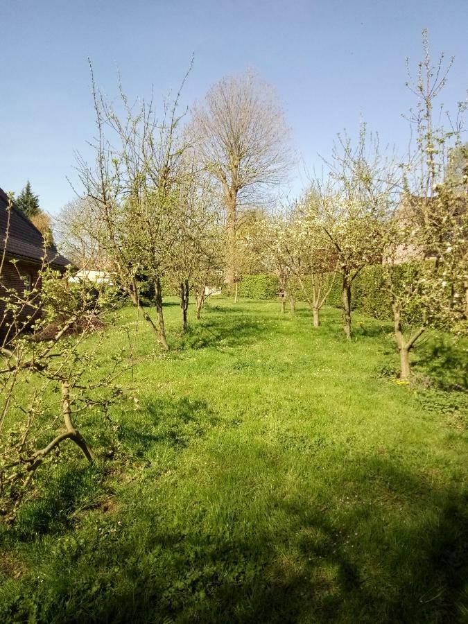 Gite Du Montagnard Oxelaere المظهر الخارجي الصورة