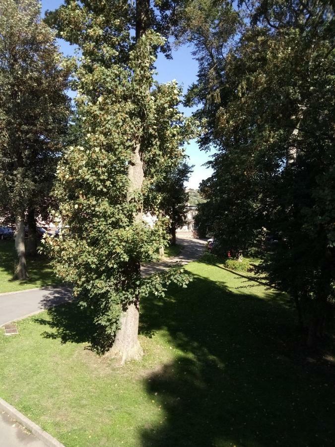 Gite Du Montagnard Oxelaere المظهر الخارجي الصورة
